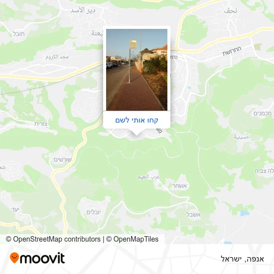 מפת אנפה