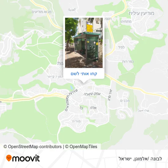 מפת לבונה /אלמוגן
