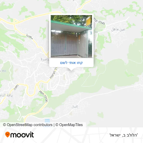 מפת 'הלולב ב