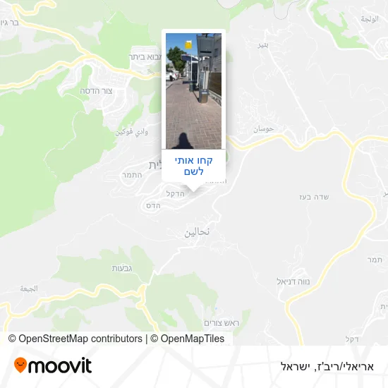 מפת אריאלי/ריב'ז