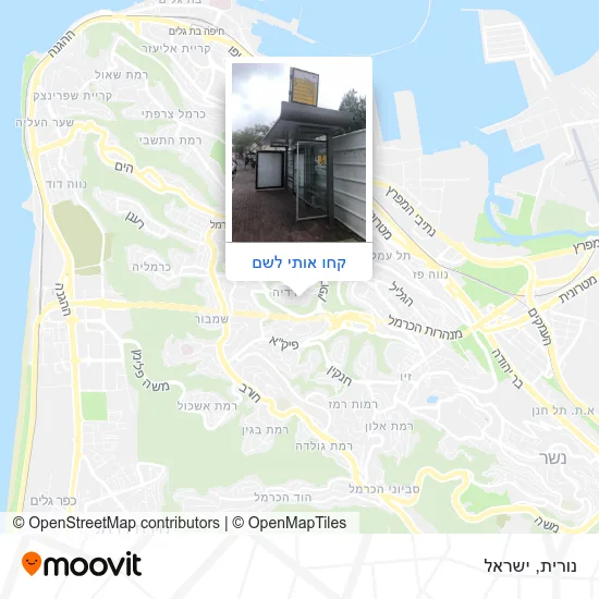 מפת נורית
