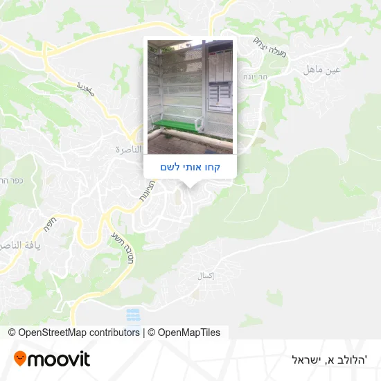 מפת 'הלולב א