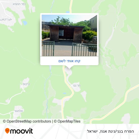 מפת הפרח בגני/גינת אגוז