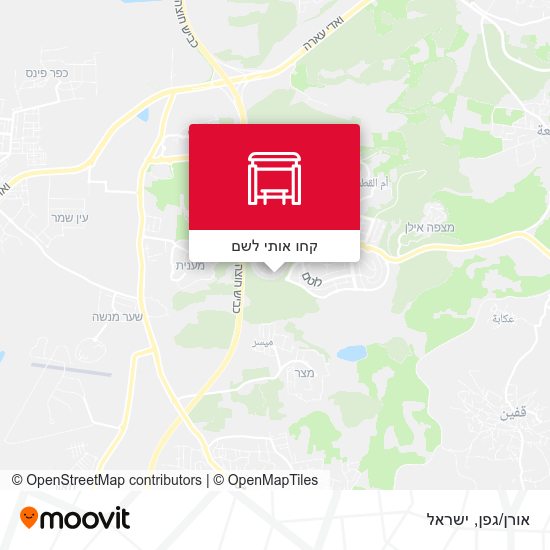 מפת אורן/גפן