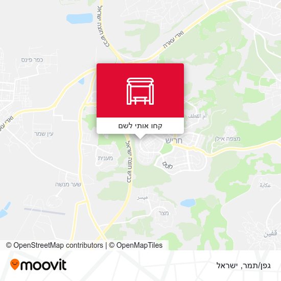 מפת גפן/תמר