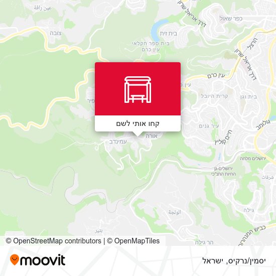 מפת יסמין/נרקיס