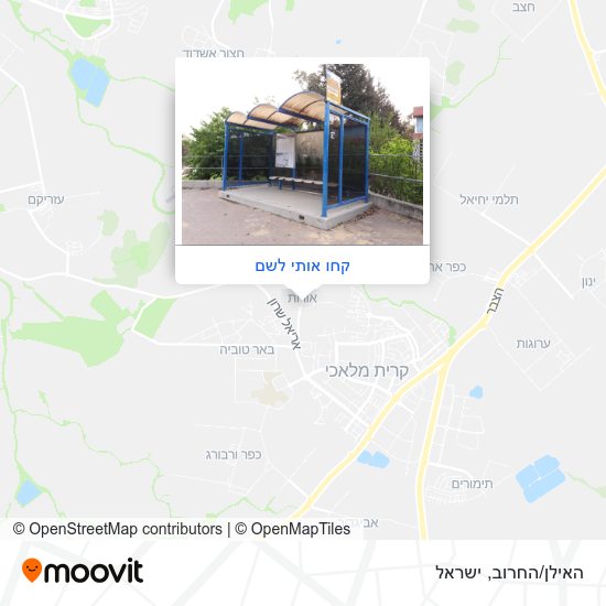 מפת האילן/החרוב