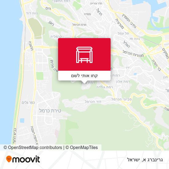 מפת גרינברג א