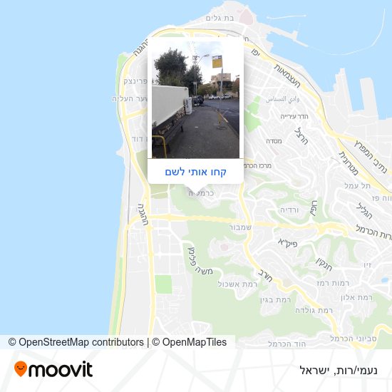 מפת נעמי/רות