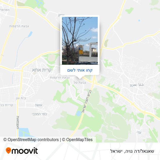 מפת שאגאל/דה גויה