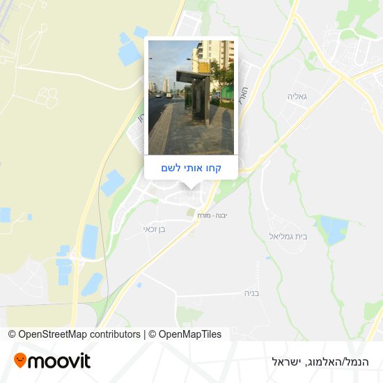 מפת הנמל/האלמוג