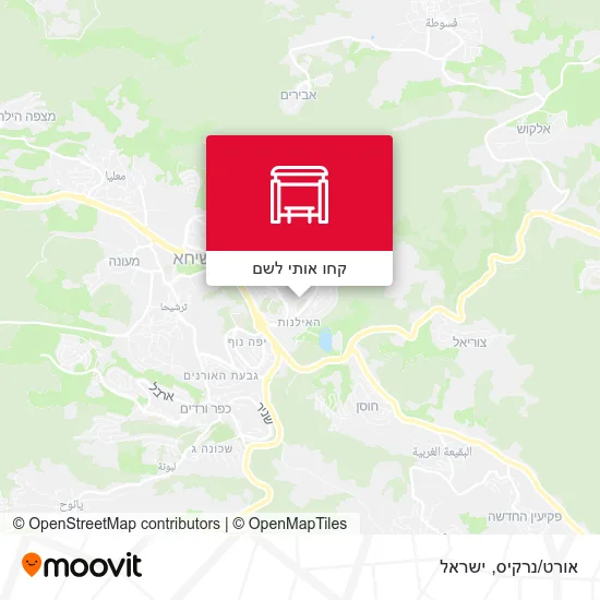 מפת אורט/נרקיס