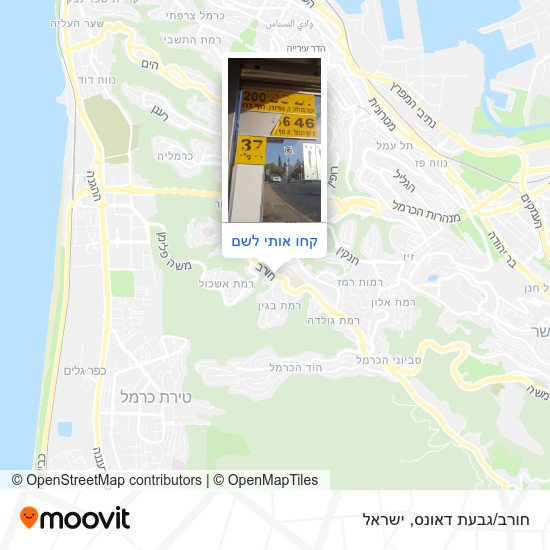 מפת חורב/גבעת דאונס