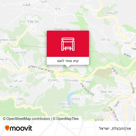 מפת אורן/חבצלת
