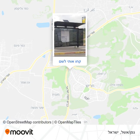 מפת גפן/אשל