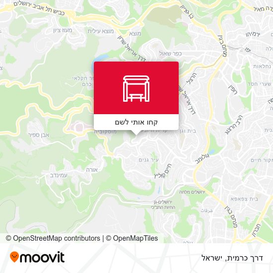 מפת דרך כרמית