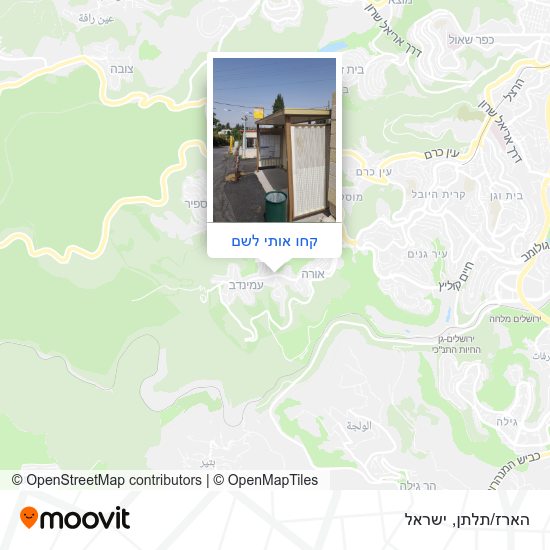 מפת הארז/תלתן