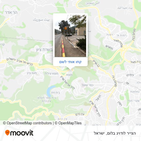 מפת הצייר לודויג בלום