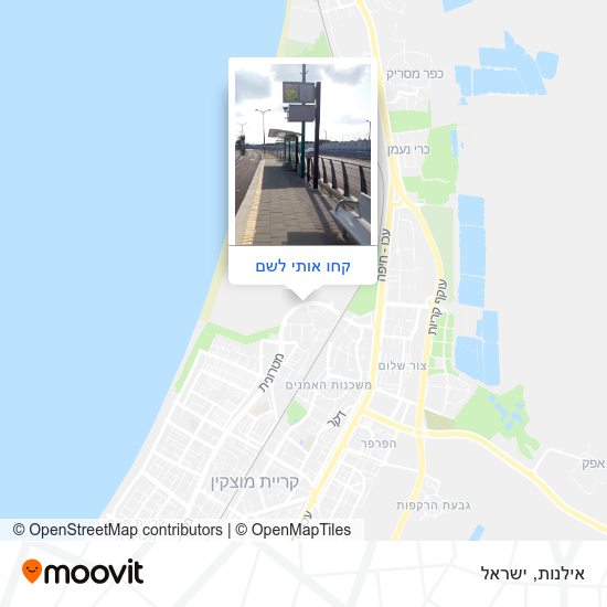 מפת אילנות