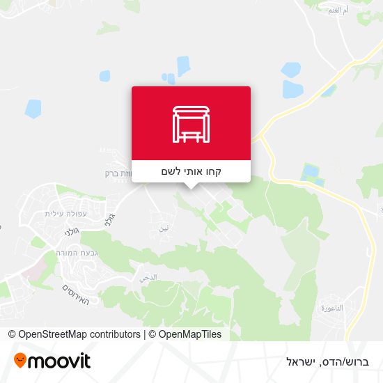 מפת ברוש/הדס