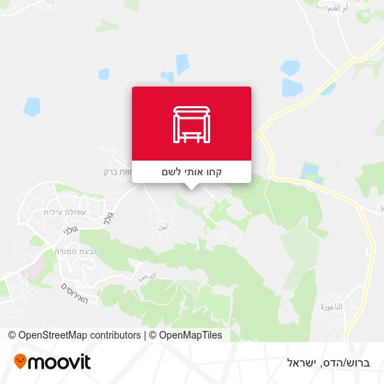מפת ברוש/הדס