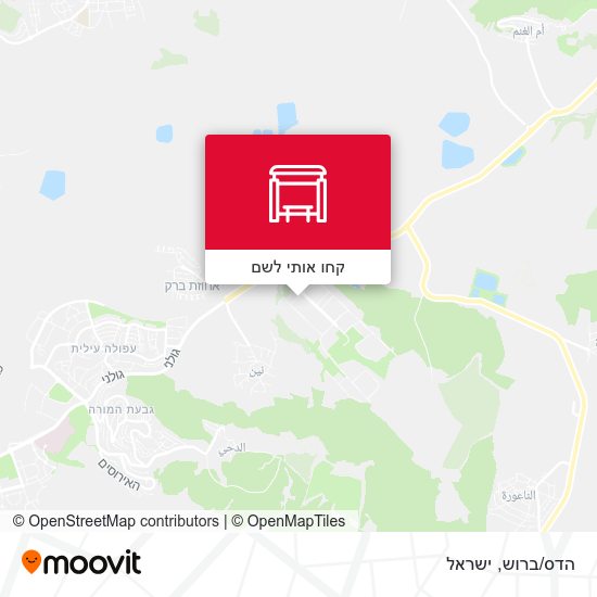 מפת הדס/ברוש