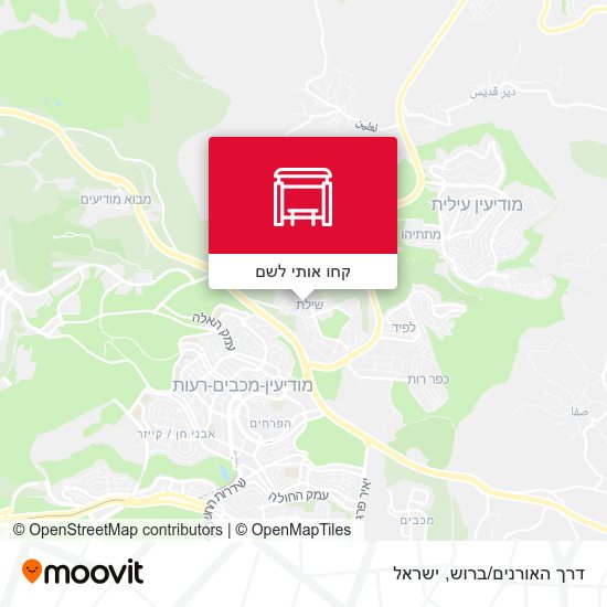מפת דרך האורנים/ברוש