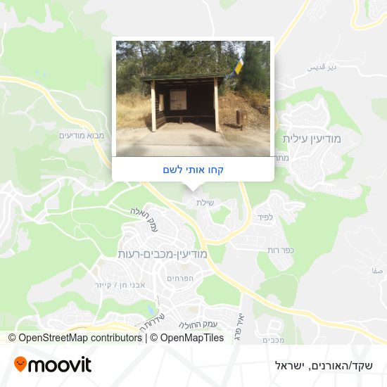 מפת שקד/האורנים
