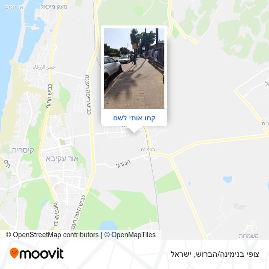 מפת צופי בנימינה/הברוש