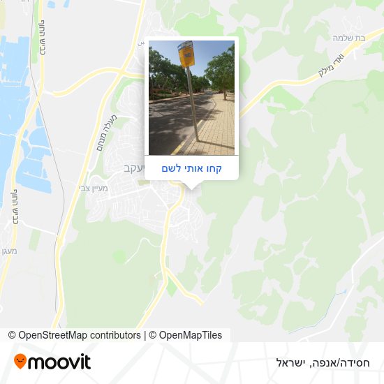 מפת חסידה/אנפה