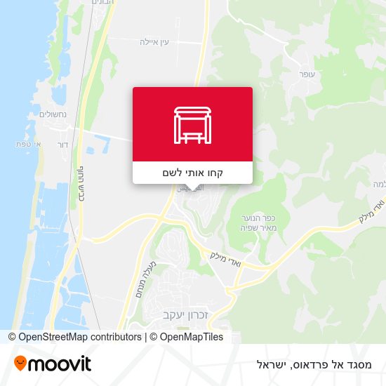 מפת מסגד אל פרדאוס