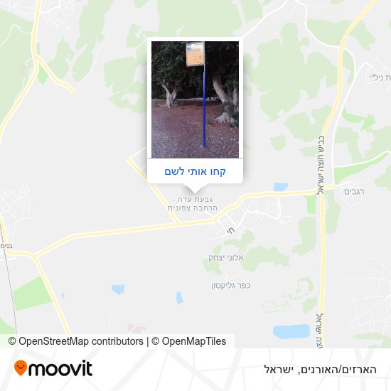 מפת הארזים/האורנים