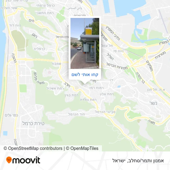 מפת אמנון ותמר/סחלב