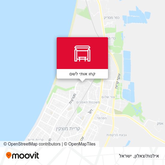 מפת אילנות/צאלון