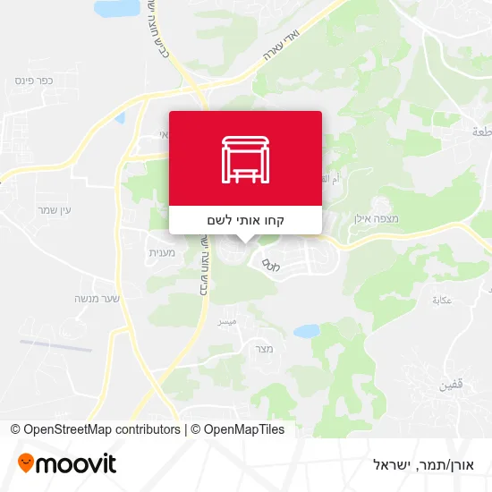 מפת אורן/תמר