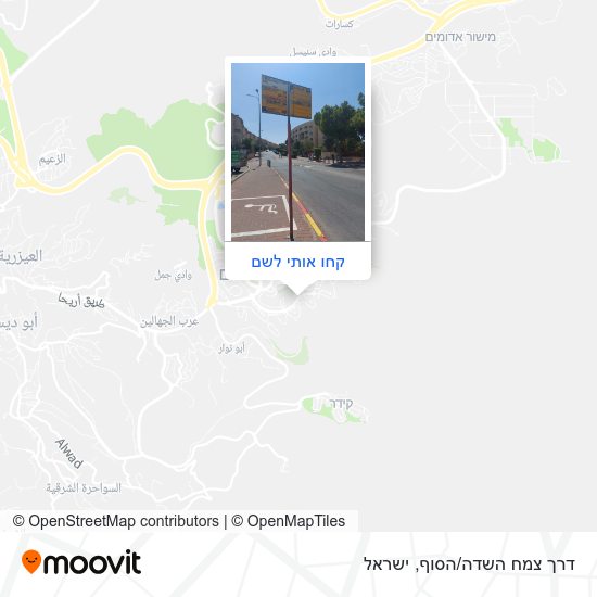 מפת דרך צמח השדה/הסוף