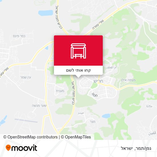 מפת גפן/תמר