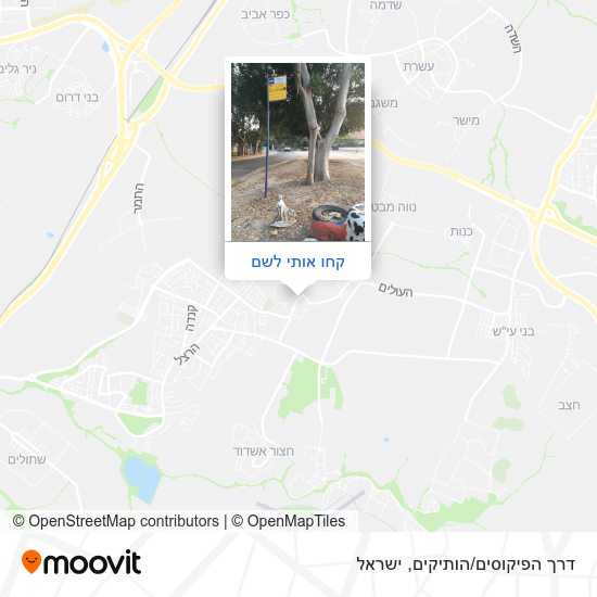 מפת דרך הפיקוסים/הותיקים