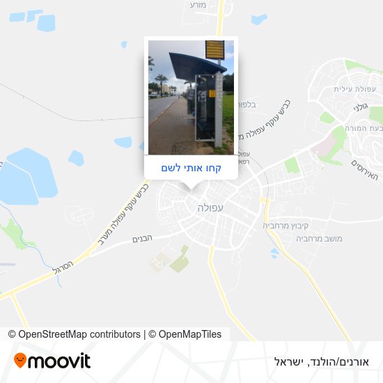 מפת אורנים/הולנד