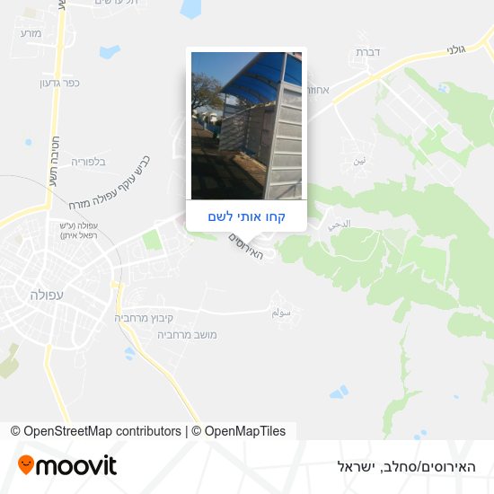 מפת האירוסים/סחלב