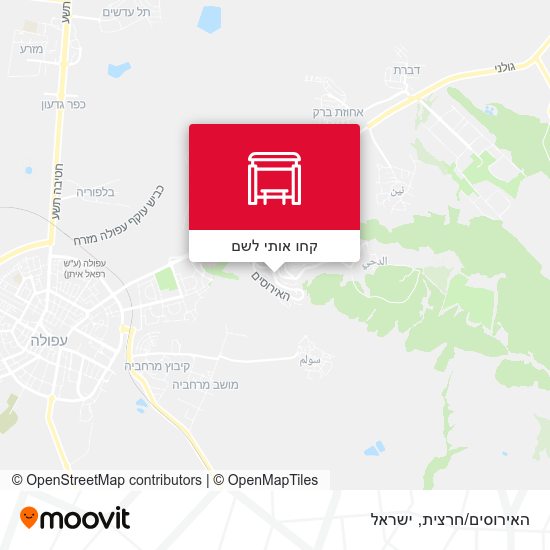 מפת האירוסים/חרצית