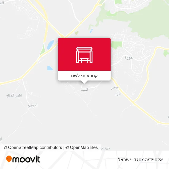מפת אלסייד/המסגד