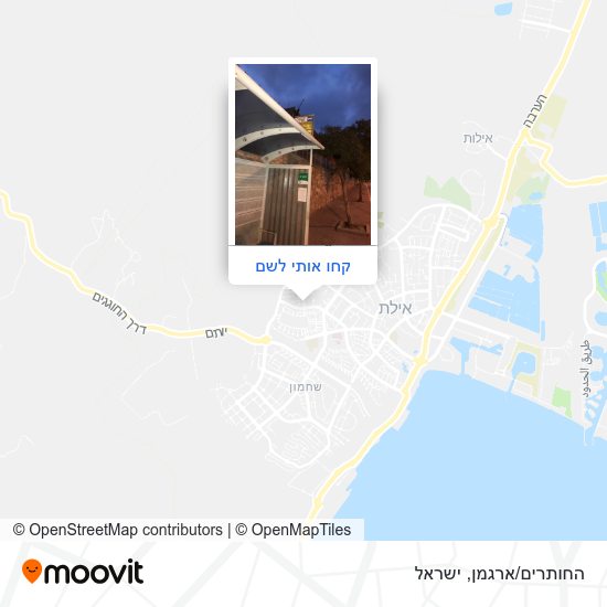 מפת החותרים/ארגמן