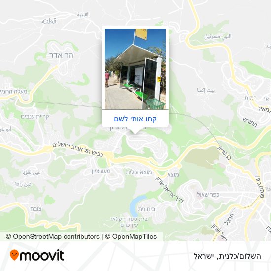 מפת השלום/כלנית