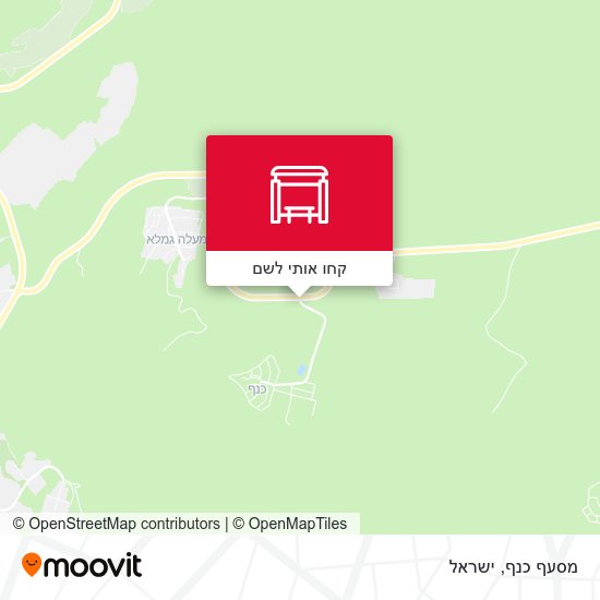 מפת מסעף כנף