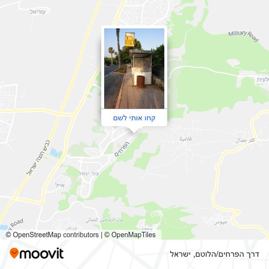 מפת דרך הפרחים/הלוטם