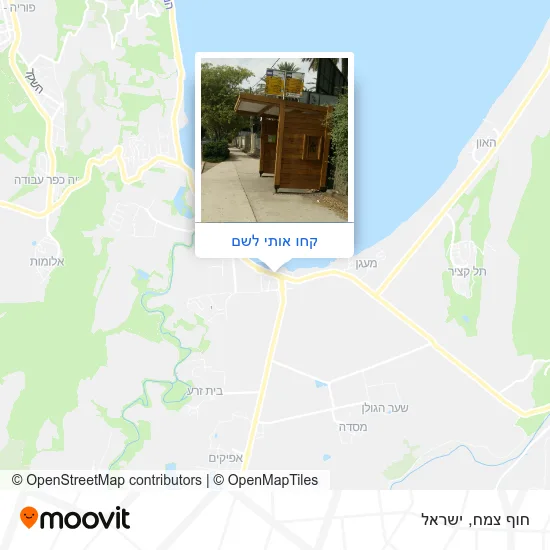 מפת חוף צמח