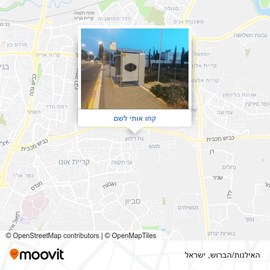 מפת האילנות/הברוש