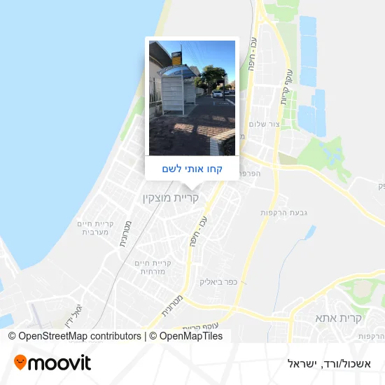 מפת אשכול/ורד