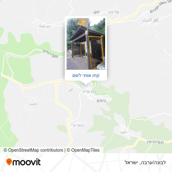 מפת לבונה/ערבה